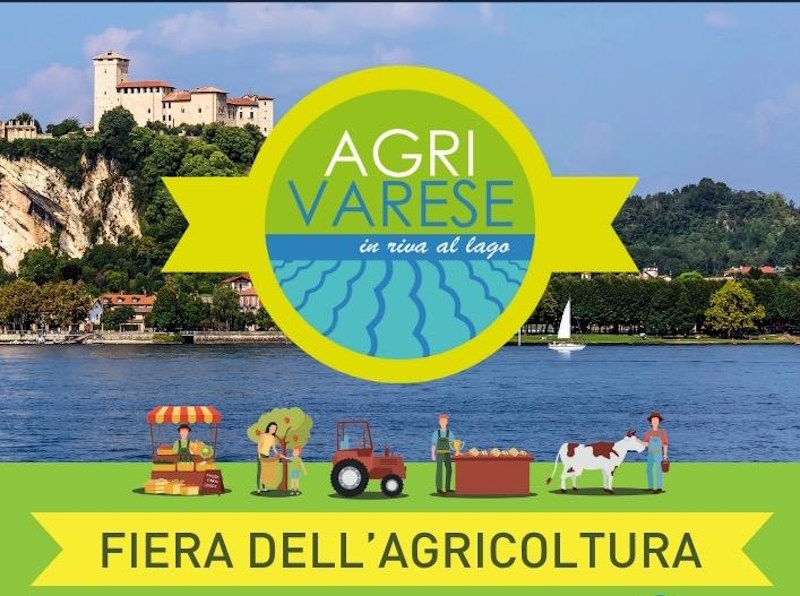 Agrivarese angera 26