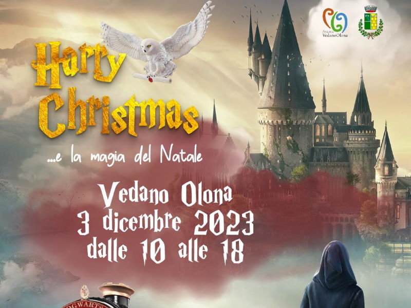 Harry Christmas vedano