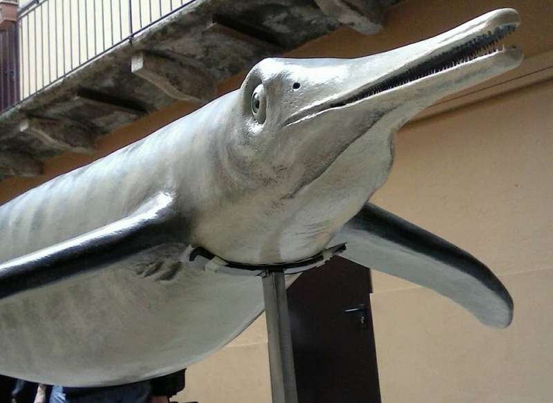 besanosauro