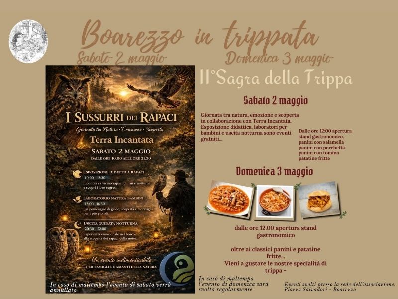boarezzo in trippata
