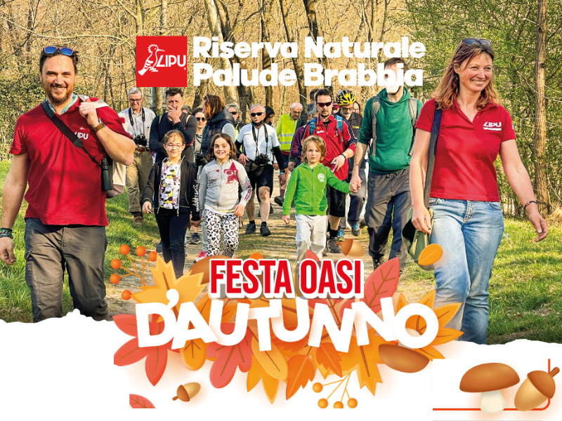 festa autunno oasi palude brabbia