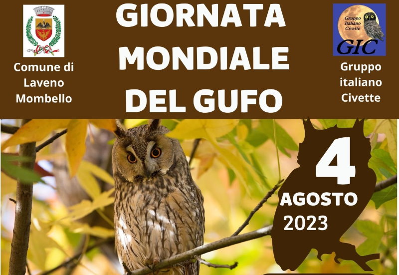 giornata mondiale del gufo laveno