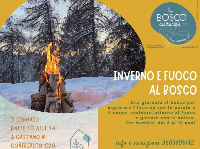 inverno fuoco bosco curiosi