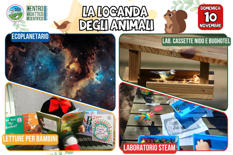 la locanda degli animali 24