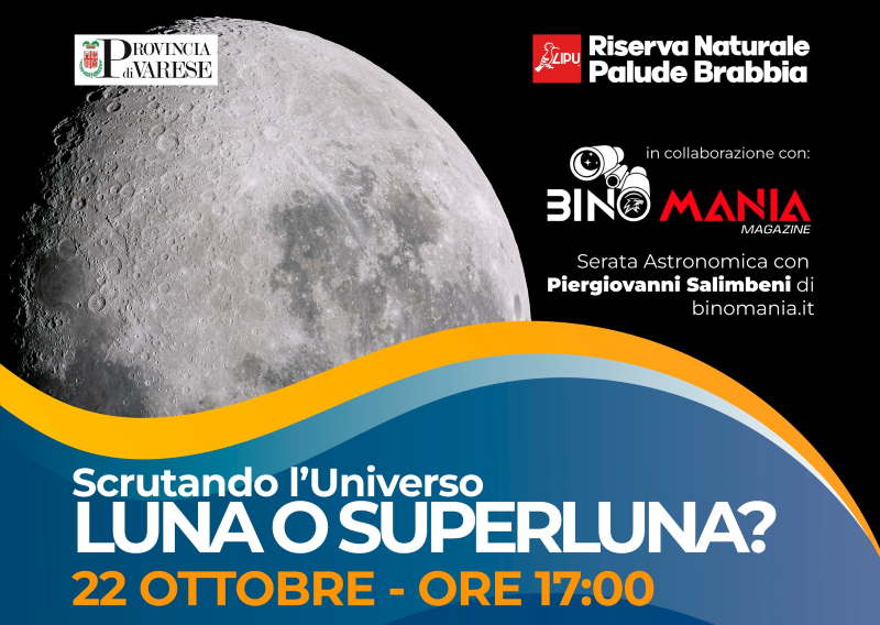luna o superluna palude