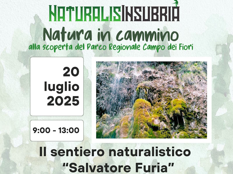 natura in cammino sentiero salvatore furia