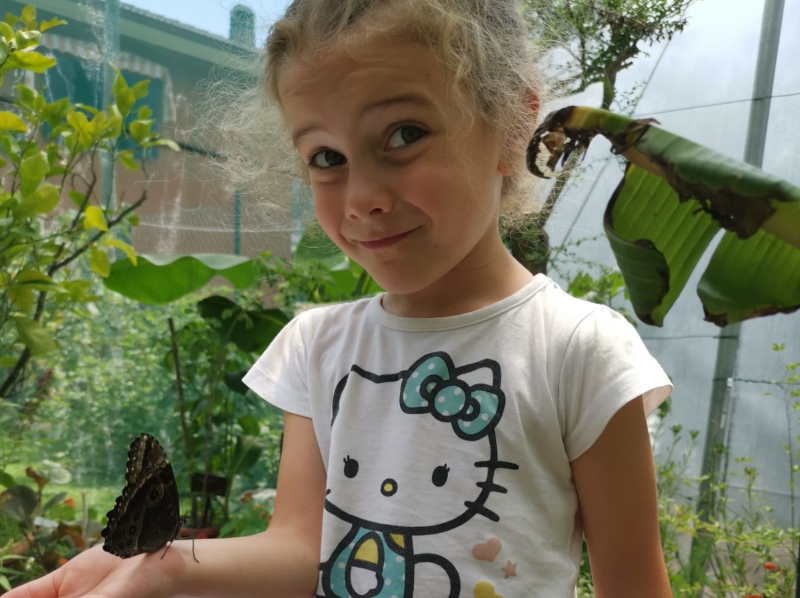 oasi tropicale cuveglio