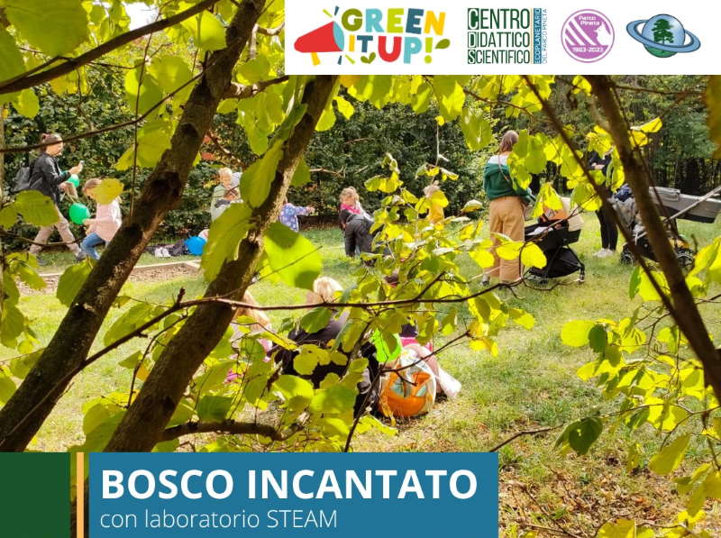 piccolo bosco incantato parco pineta
