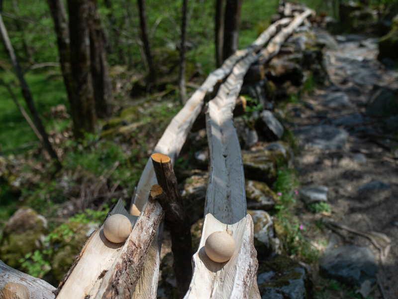 BoBosco, una pista di biglie giganti nel bosco!