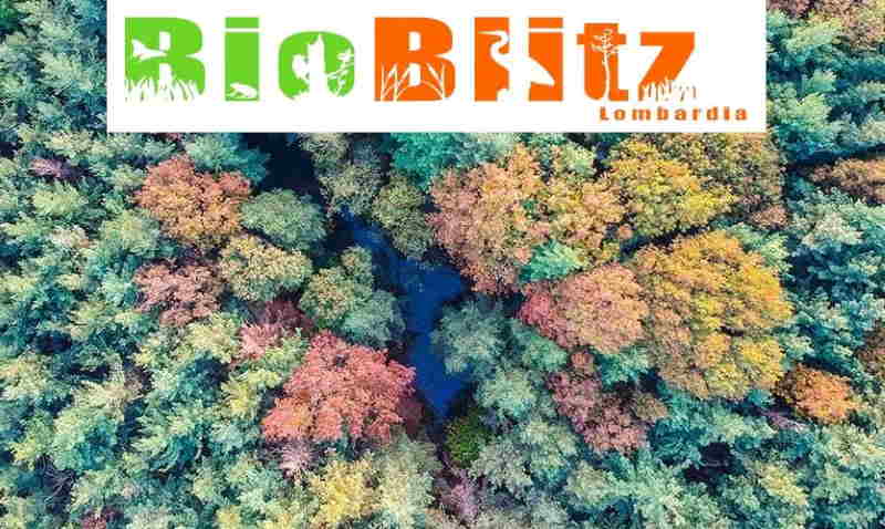 Bioblitz per i bambini al Parco Pineta