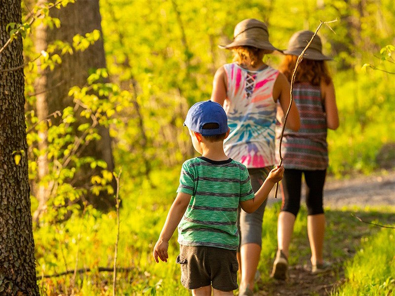Cammina, Cammina a Gavirate: passeggiata, laboratori e fiabe per famiglie sul Lago di Varese