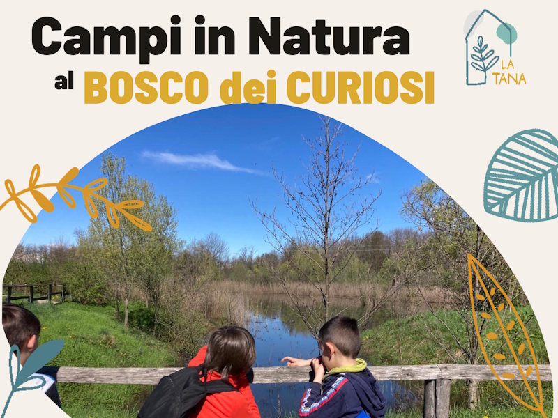 Campo estivo il BOSCO DEI CURIOSI a Cassano Magnago