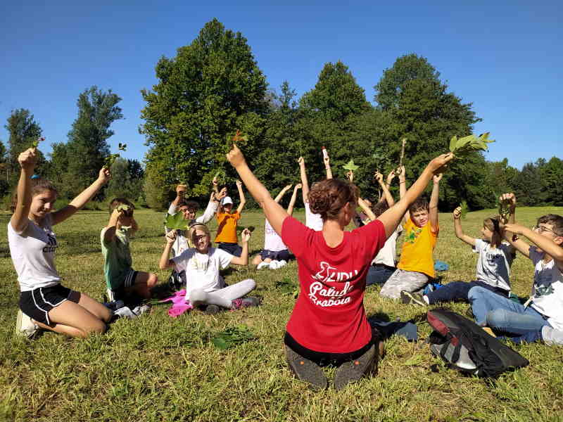 Campo Estivo I Ragazzi della Palude