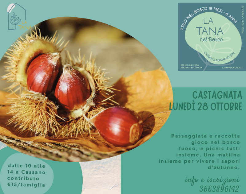 castagnata piccoli locandina