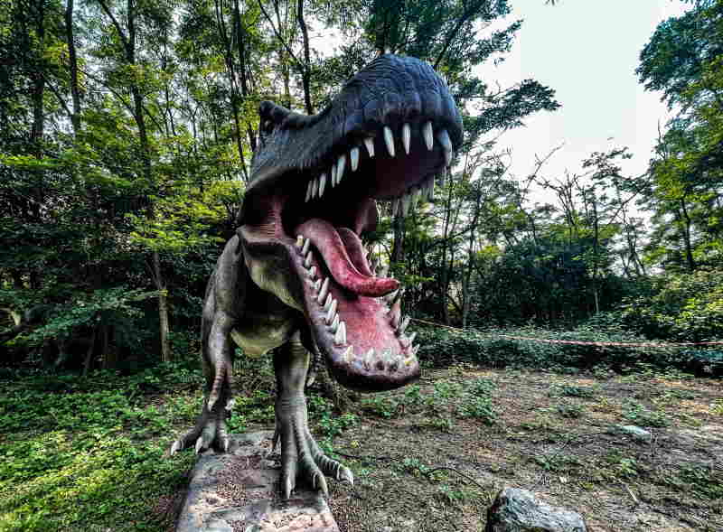 Passione dinosauri: 8 posti top per le famiglie con bambini