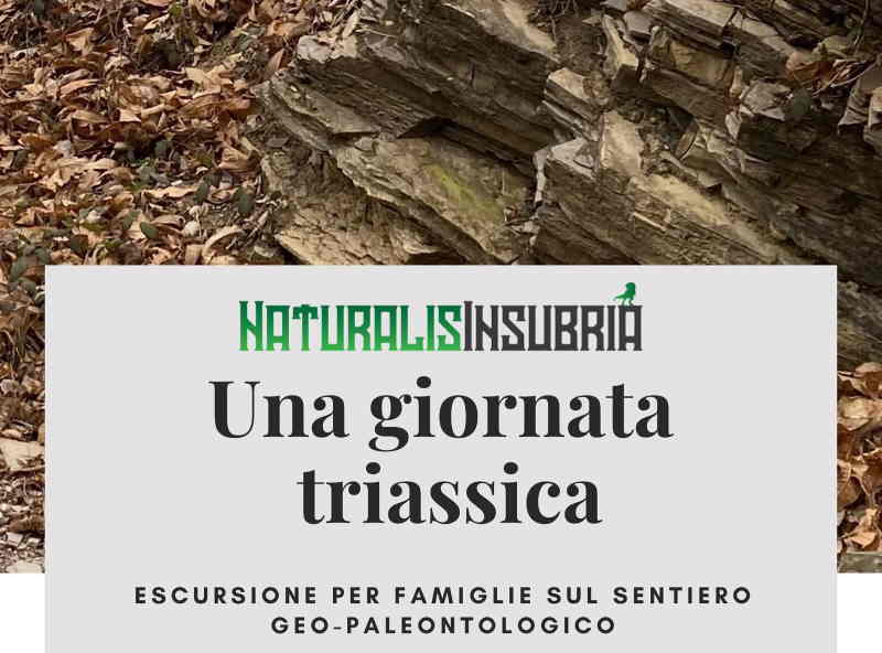 Una giornata triassica, escursione per famiglie a Besano