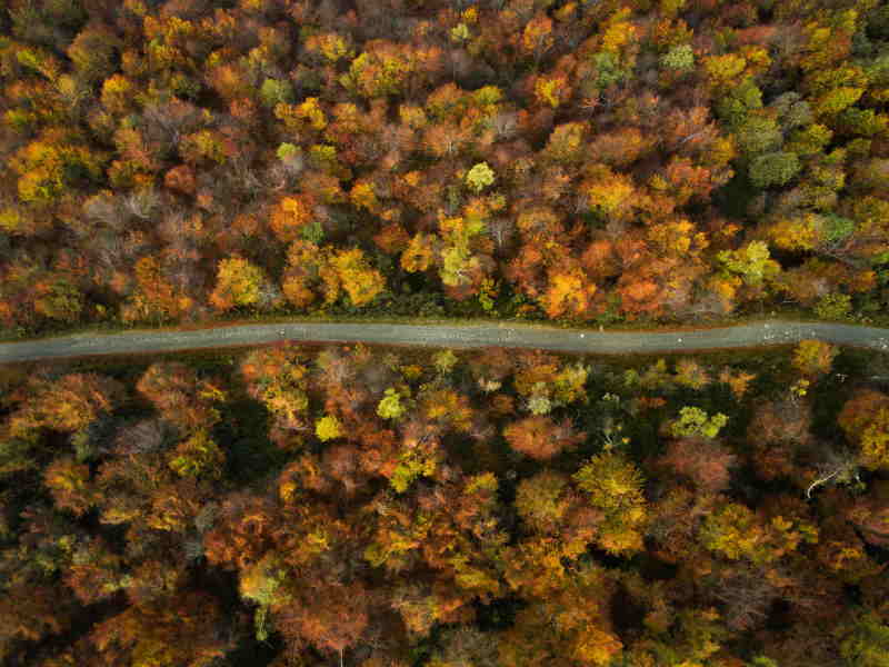 Foliage d’autunno all’Oasi Zegna