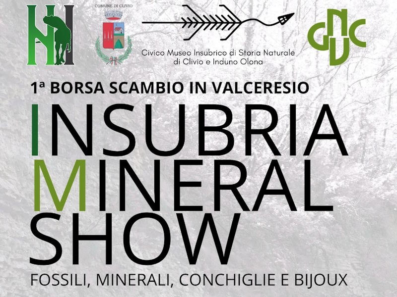Insubria Mineral Show 2026 a Clivio: fossili, minerali e laboratori per bambini