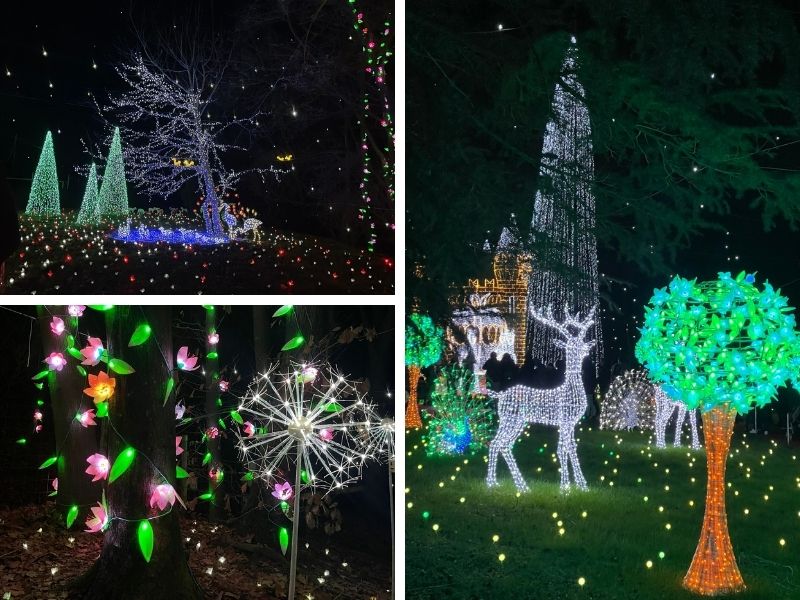 lucine natale leggiuno alberelli