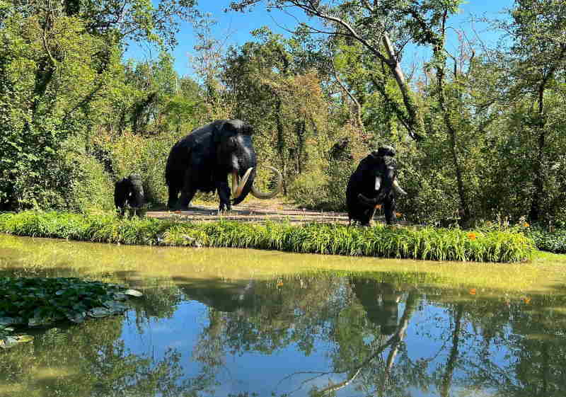 mammut parco della preistoria