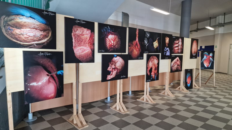notte ricercatori varese busto mostra