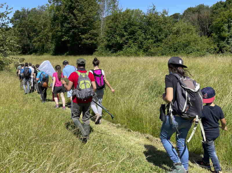 Birdwatching e laboratorio “Un nido per cince” in Palude Brabbia