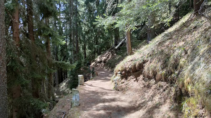 passeggiata della regina pineta