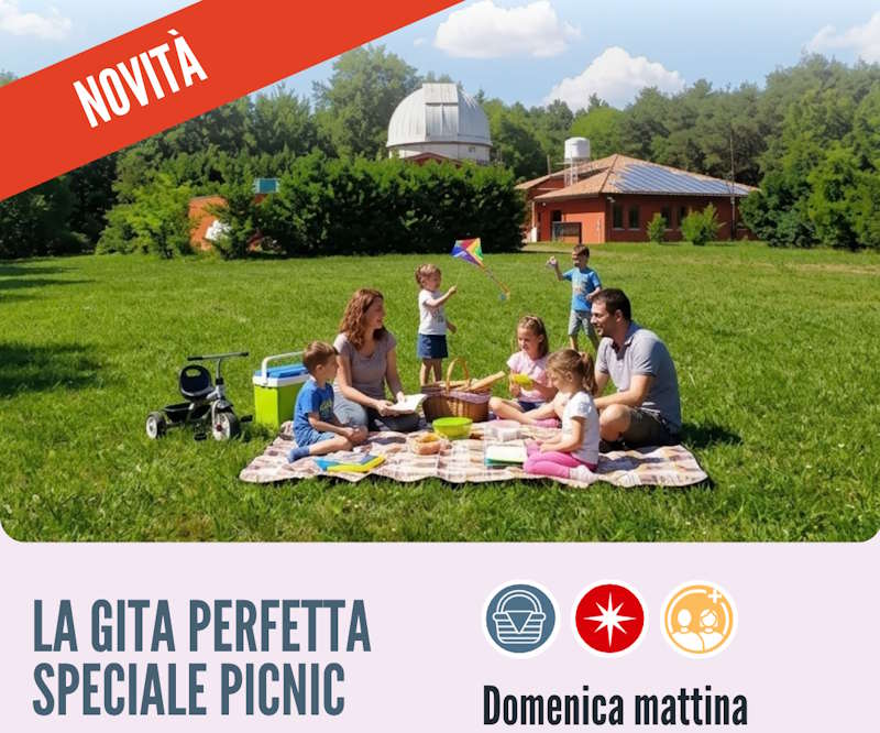 picnic parco pineta