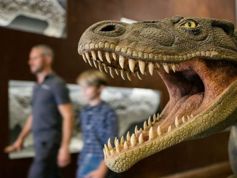 Giornata Internazionale dei Musei 2026: eventi gratuiti per famiglie