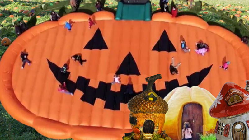 saltarello zucca