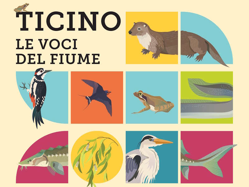 Ticino. Le voci del fiume: mostra per famiglie al Chiostro di Voltorre