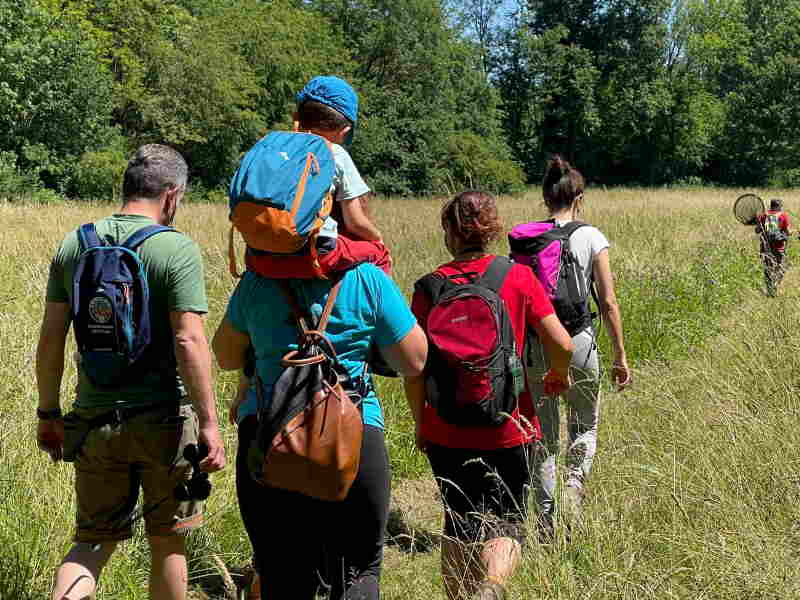 Birdwatching e laboratorio in Palude Brabbia
