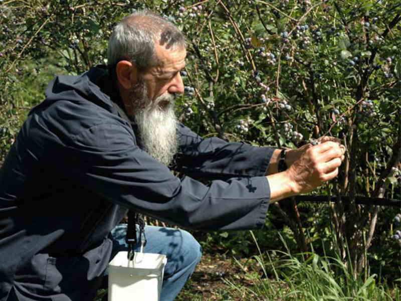 Vita al monastero: laboratori con i Benedettini!