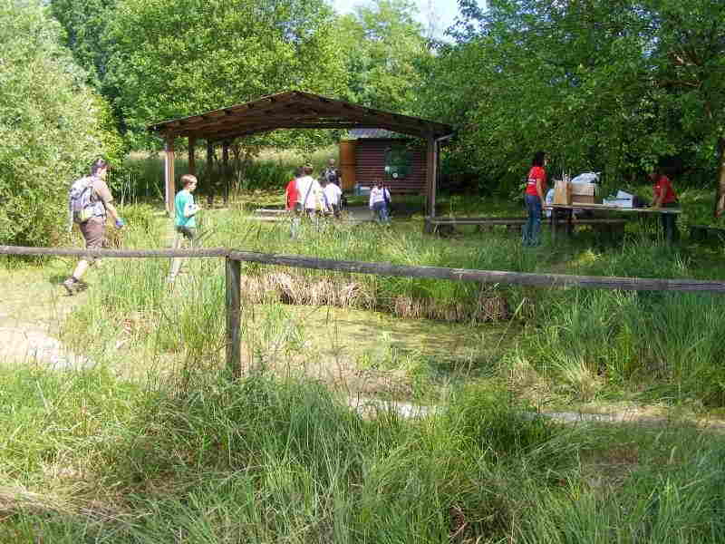Vita sott’acqua all'Oasi della Palude Brabbia