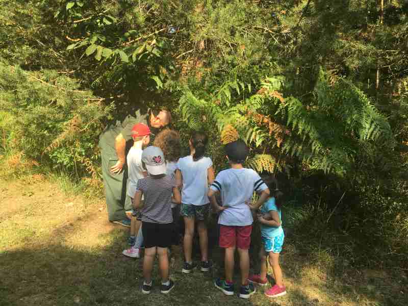 Il Bosco incantato al Parco Pineta