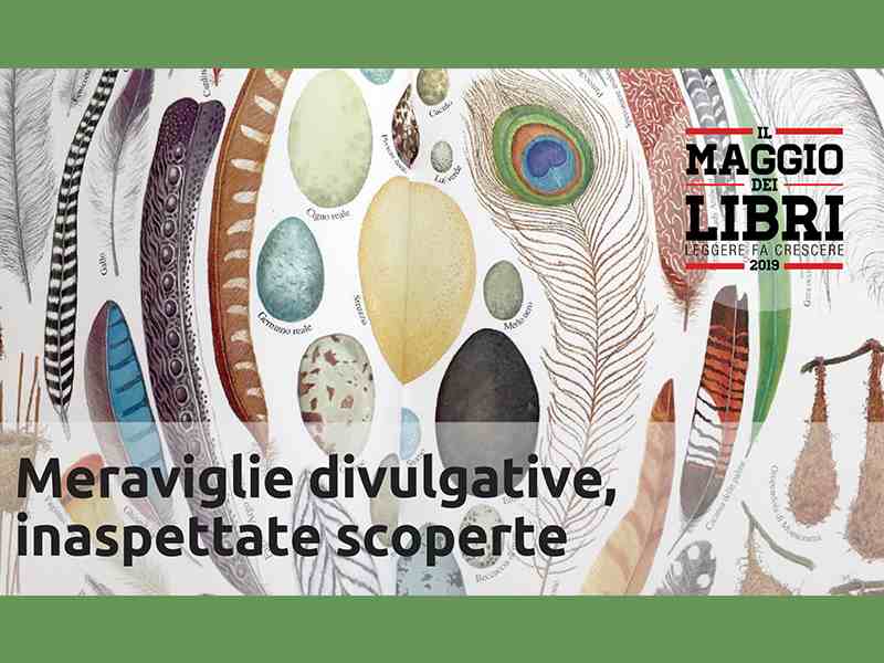 Meraviglie divulgative, inaspettate scoperte