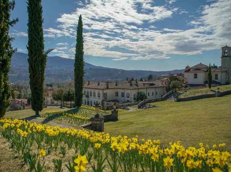 Una distesa di Narcisi a Villa Della Porta Bozzolo