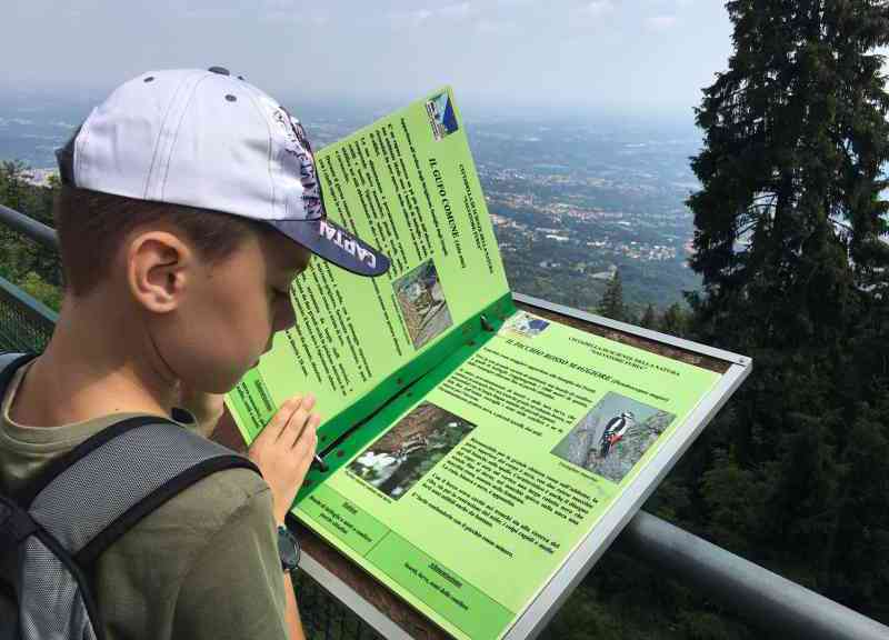 Il bosco e i suoi animali all'Osservatorio del Campo dei Fiori