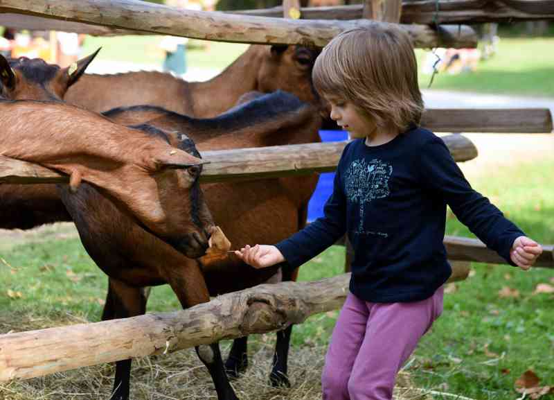 domenica in campagna al Castello di Masino
