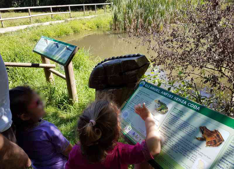 Il Sentiero delle Rane nel Parco Pineta