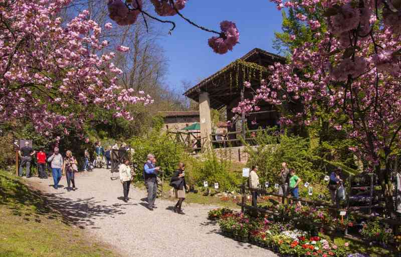 fiori monastero