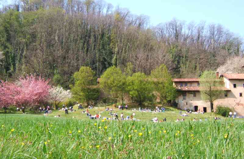 picnic famiglie