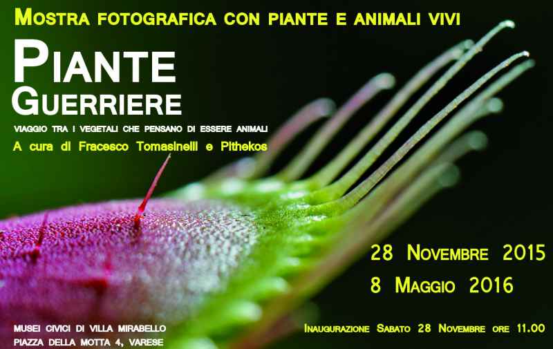 mostra piante guerriere