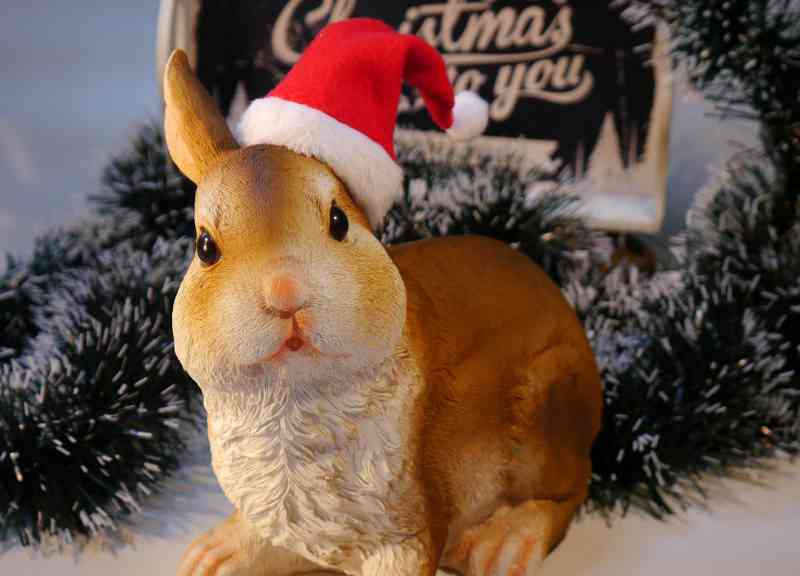 pepe alla scoperta del natale